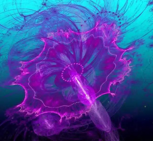 ˮĸͺˮһ